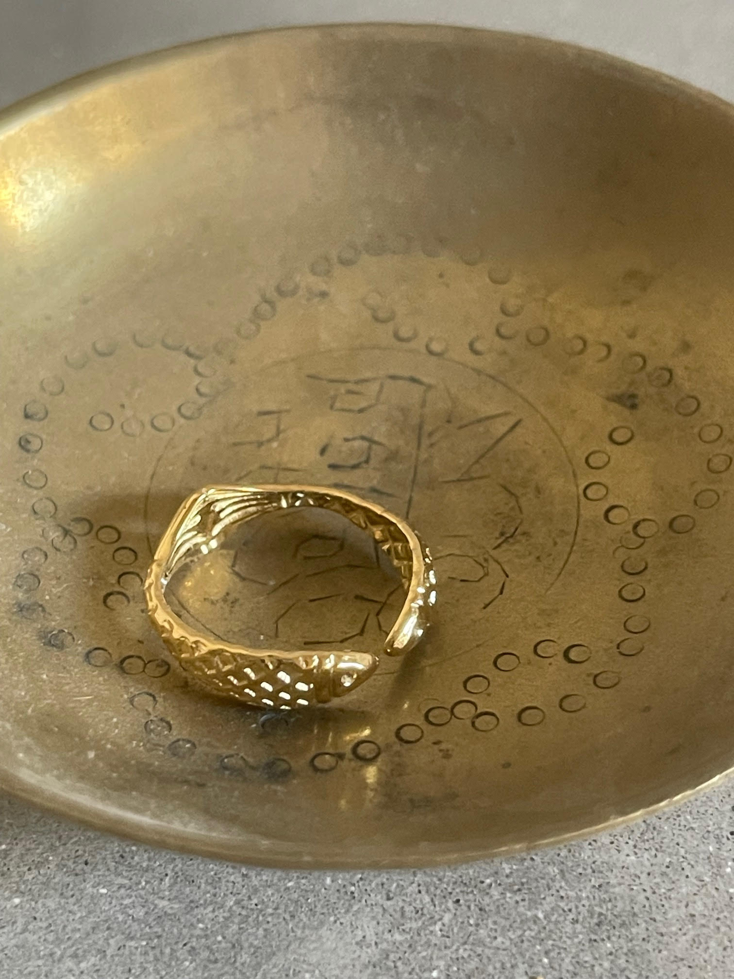 Fishy Ring